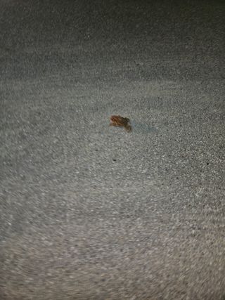 정재남님의 자유주제 · 자유게시판 작성글 사진