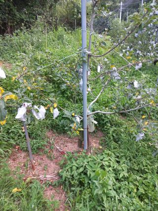 심무재 님의 자유주제 · 자유게시판 작성글 사진