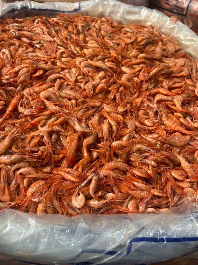 목포 물좋은수산님의 장터 판매 상품 [2025년 햇 육젓1kg] 첨부 사진