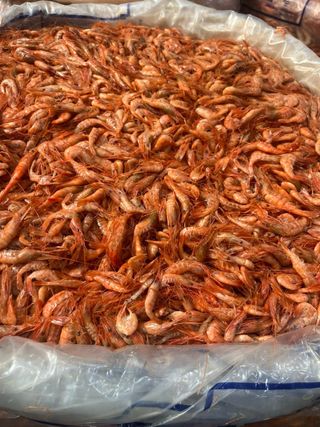 목포 물좋은수산님의 작성글 사진