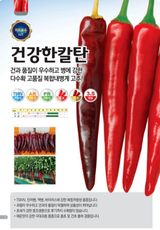 팜모닝 고추·품종•종자 게시글 이미지