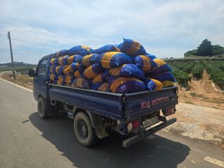 박수열님의 자유주제 · 자유게시판 작성글 사진