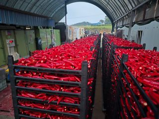 박수열님의 자유주제 · 자유게시판 작성글 사진