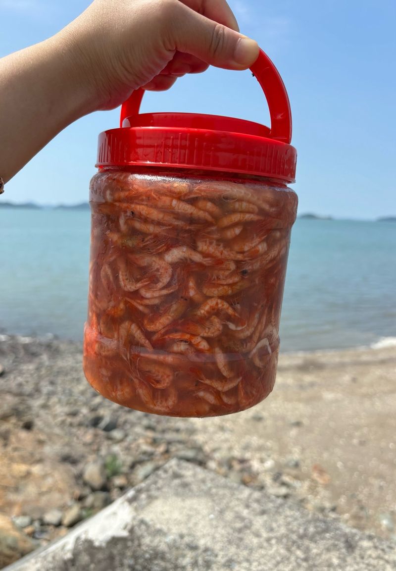 목포 물좋은수산님의 장터 판매 상품 [2025년 햇 육젓1kg] 첨부 사진