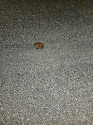 정재남님의 자유주제 · 자유게시판 작성글 사진