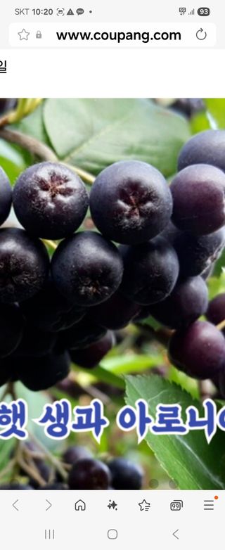 장지영님의 작성글 사진