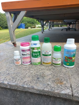 심무재 님의 자유주제 · 자유게시판 작성글 사진