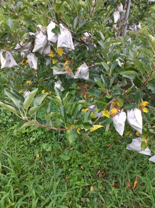 심무재 님의 자유주제 · 자유게시판 작성글 사진