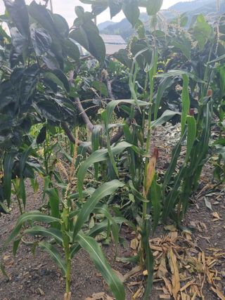 김용대님의 자유주제 · 자유게시판 작성글 사진