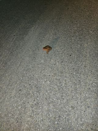 정재남님의 자유주제 · 자유게시판 작성글 사진