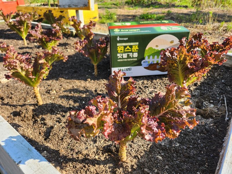 신탄진농약비료마트님의 장터 판매 상품 [원스푼퇴비5kg 텃밭 작은 주말농장에서 사용하는 퇴비 거름] 첨부 사진