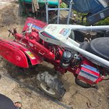 팜모닝 · 게시글 이미지