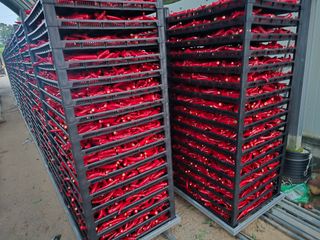 박수열님의 자유주제 · 자유게시판 작성글 사진