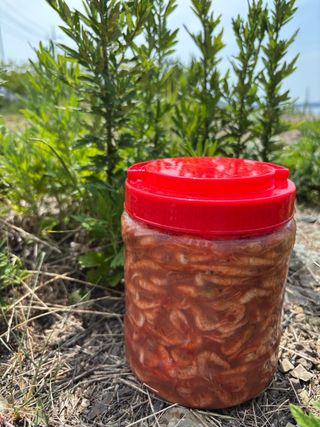 목포 물좋은수산님의 작성글 사진