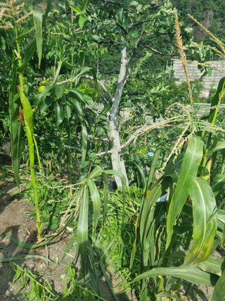 김용대님의 작성글 사진