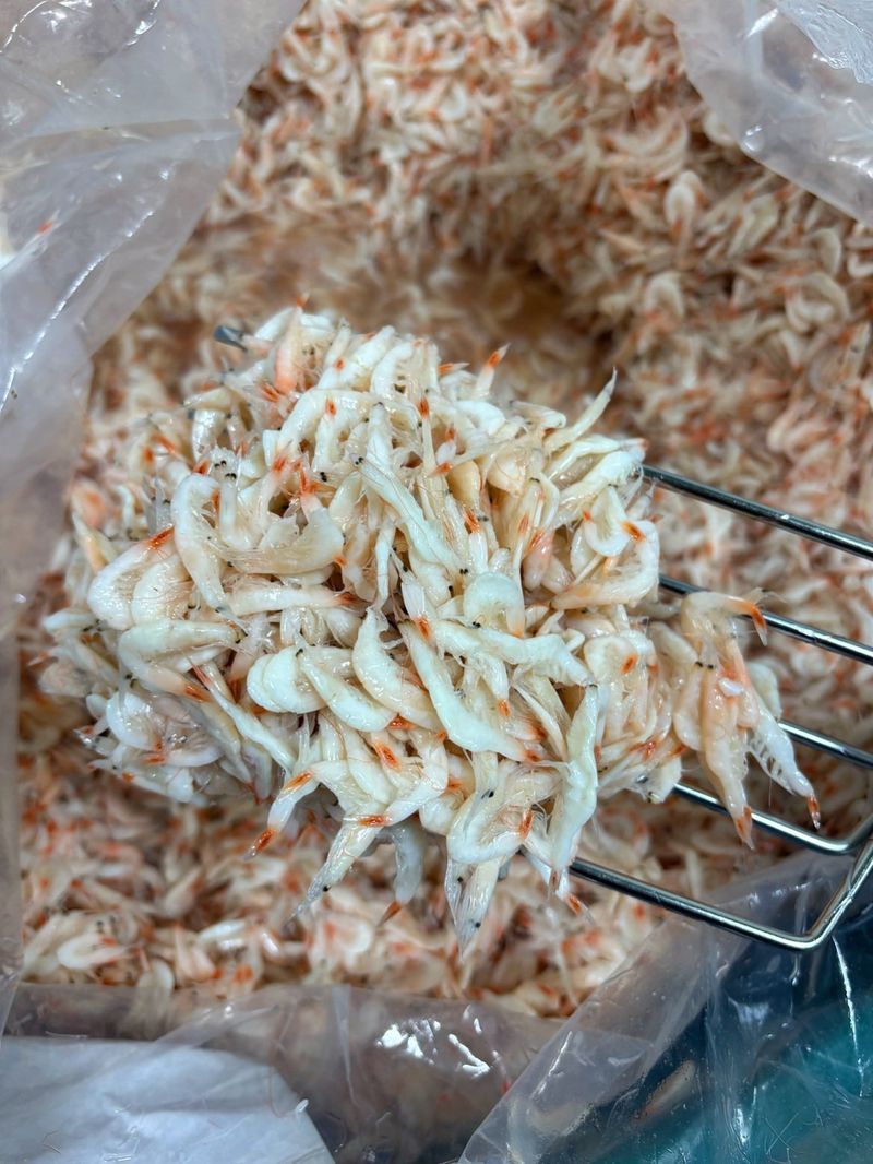 목포 물좋은수산님의 장터 판매 상품 [2025년 햇 육젓1kg] 첨부 사진