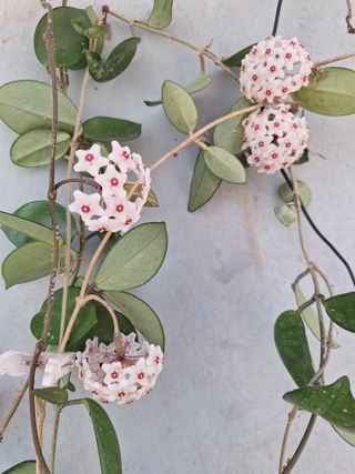 남 샘결 개둥맘님의 자유주제 · 자유게시판 작성글 사진