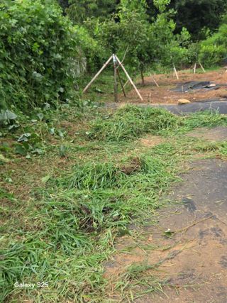 이세순님의 자유주제 · 자유게시판 작성글 사진