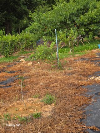 이세순님의 자유주제 · 자유게시판 작성글 사진