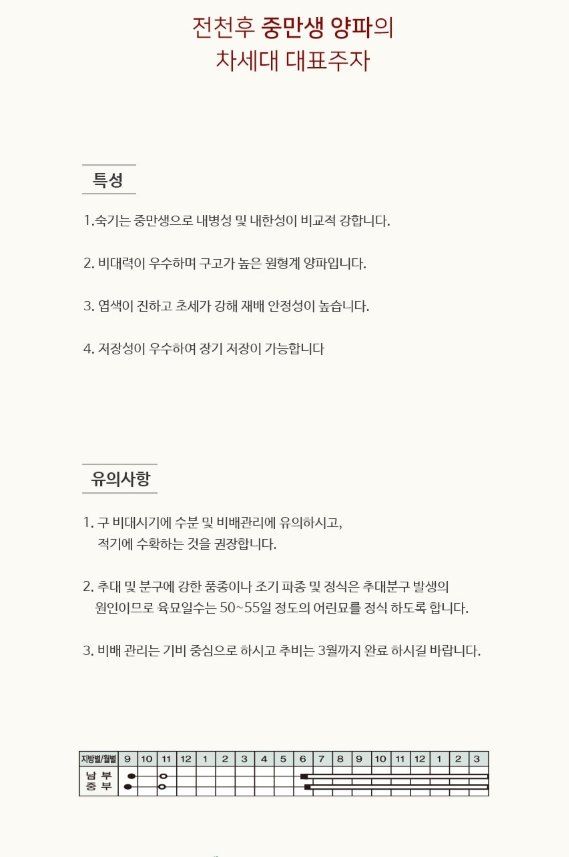 안산제일농약사님의 장터 판매 상품 [킹콩양파씨앗 100g, 코팅24000립 중 선택] 첨부 사진