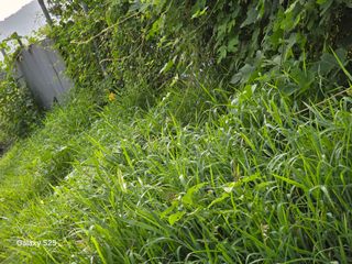 이세순님의 자유주제 · 자유게시판 작성글 사진