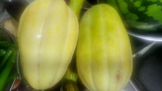 행복농장아다나님의 자유주제 · 자유게시판 작성글 사진