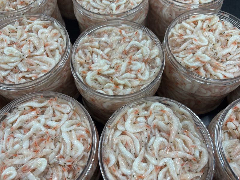 목포 물좋은수산님의 장터 판매 상품 [2025년 햇 육젓1kg] 첨부 사진