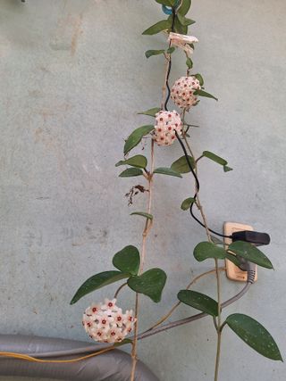 남 샘결 개둥맘님의 자유주제 · 자유게시판 작성글 사진