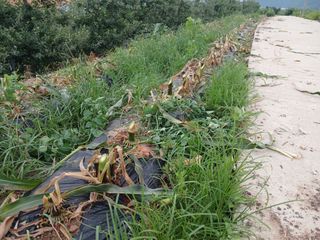 알 수 없음님의 자유주제 · 자유게시판 작성글 사진