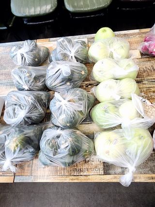 제주부자팜님의 자유주제 · 자유게시판 작성글 사진