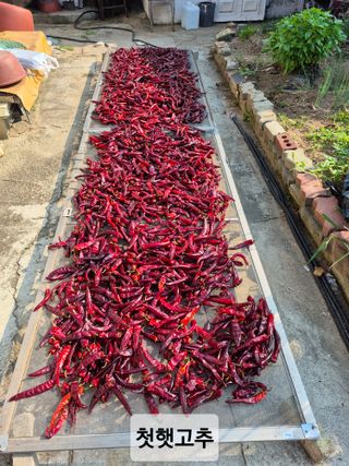 찬균park님의 자유주제 · 자유게시판 작성글 사진