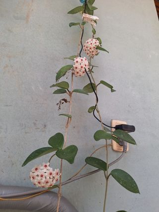 남 샘결 개둥맘님의 자유주제 · 자유게시판 작성글 사진