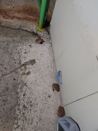 숲속의사나이님의 자유주제 · 자유게시판 작성글 사진