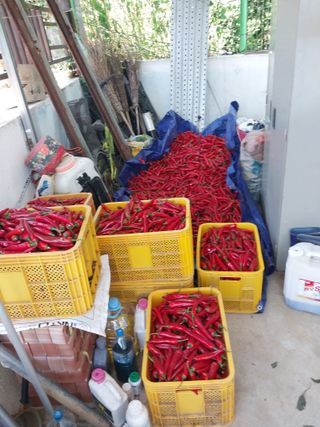 영수농원님의 자유주제 · 자유게시판 작성글 사진