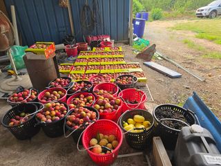 이원희님의 자유주제 · 자유게시판 작성글 사진