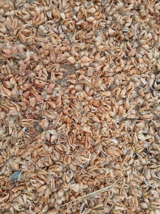 김상선님의 작성글 사진