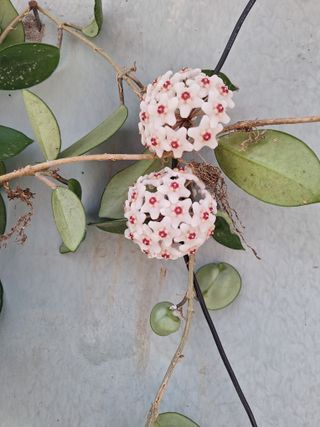 남 샘결 개둥맘님의 자유주제 · 자유게시판 작성글 사진