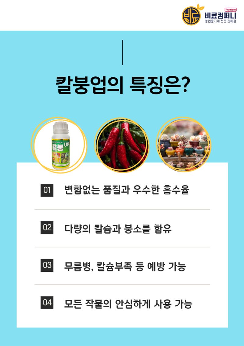 신탄진농약비료마트님의 장터 판매 상품 [배추칼슘제 칼붕업500ml 김장 배추와 무에 꼭 필요한 칼슘 붕소 비료 ] 첨부 사진