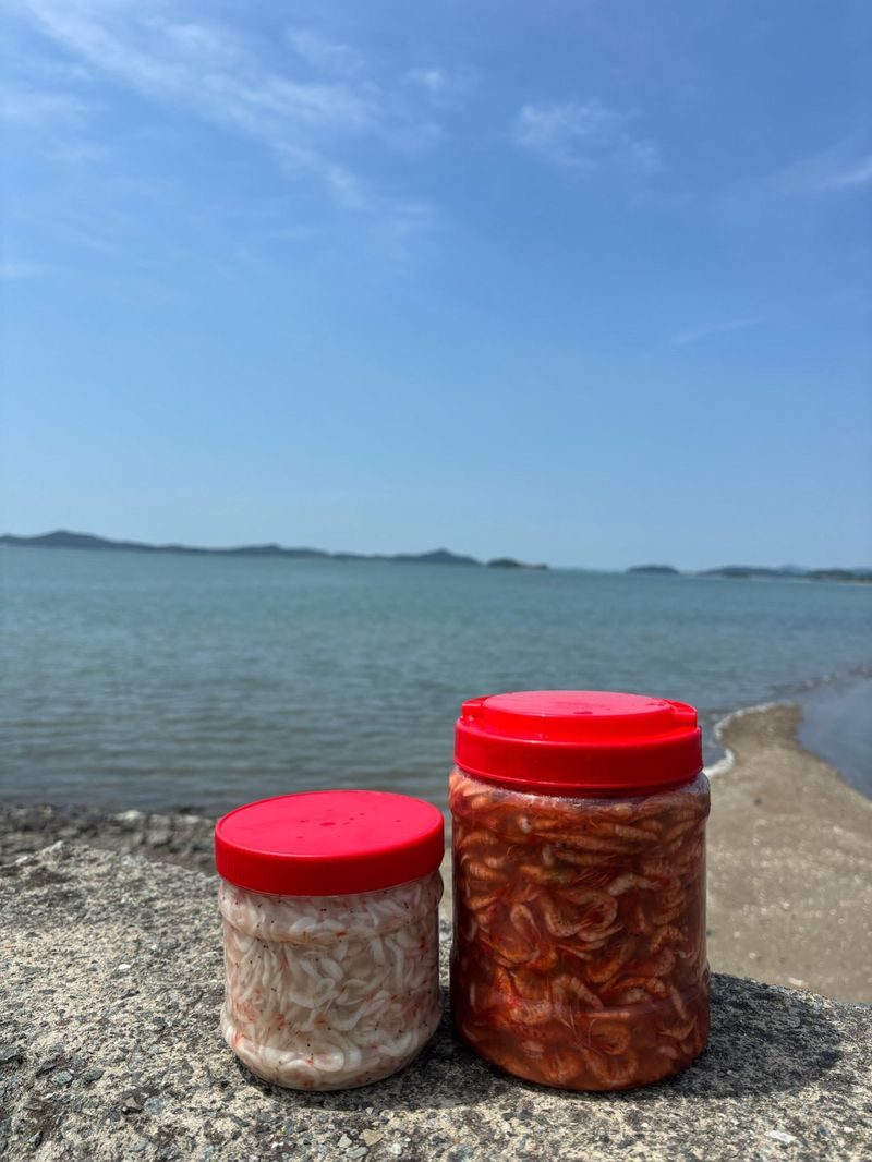 목포 물좋은수산님의 장터 판매 상품 [2025년 햇 육젓1kg] 첨부 사진