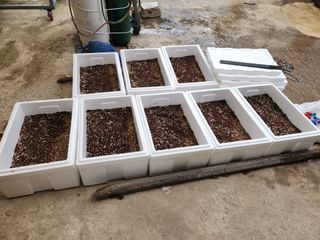 이창신님의 자유주제 · 자유게시판 작성글 사진