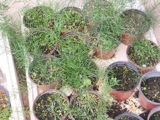 이창신님의 자유주제 · 자유게시판 작성글 사진