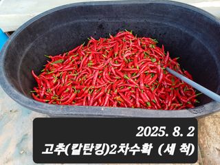 박성민님의 자유주제 · 자유게시판 작성글 사진