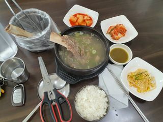 실로암농원님의 자유주제 · 자유게시판 작성글 사진