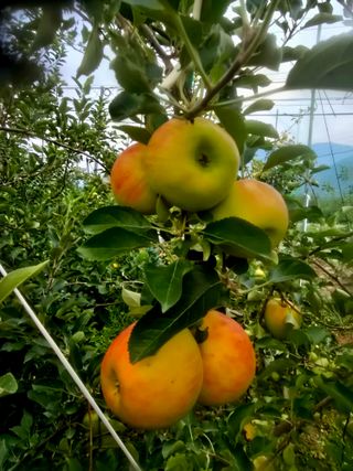 최동구님의 자유주제 · 자유게시판 작성글 사진