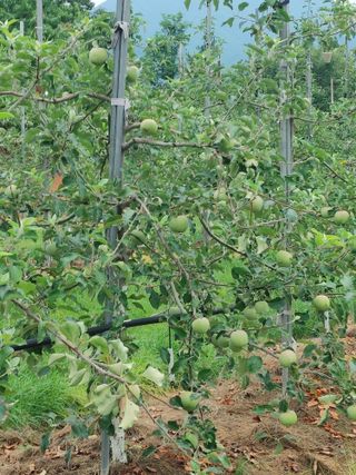 숲속의사나이님의 자유주제 · 자유게시판 작성글 사진