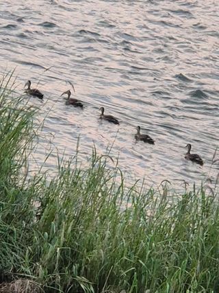 김상진님의 자유주제 · 자유게시판 작성글 사진