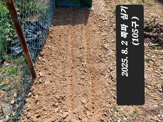 박성민님의 자유주제 · 자유게시판 작성글 사진