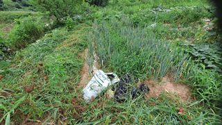 MSG0074님의 자유주제 · 자유게시판 작성글 사진