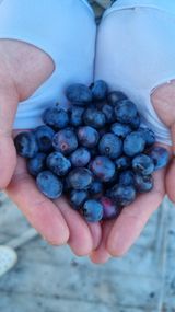 팜모닝 자유주제·자유게시판 게시글 이미지