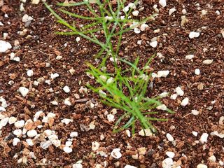 이창신님의 자유주제 · 자유게시판 작성글 사진